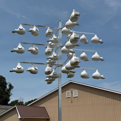 Super System 36 shown with optional gourds 